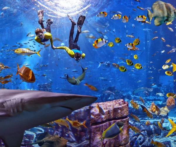 The Lost Chambers Aquarium Tickets